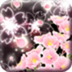 cheery blossom mystic [ ]home android application logo